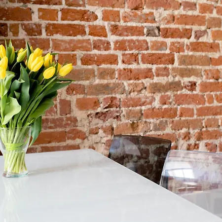 Daire Elegant 2br, Amazing Old Town Views, Plac Solny Walk To Rynek! Amenities Wroclaw